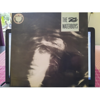 The Waterboys – The Waterboys  (Island Records – 205 632) (Zeer goede staat, hoes VG+ en vinyl VG+)